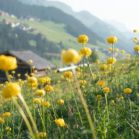 Appartement Hotel&chalet Bellevue *
